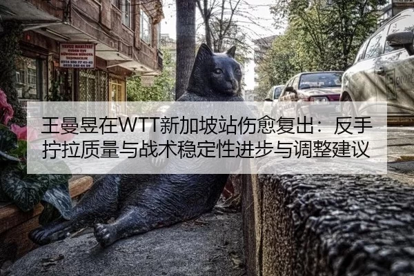 wang-man-yu-zai-xin-jia-po-zhan-shang-yu-fu-chu-fan-shou-ning-la-zhi-liang-yu-zhan-shu-wen-ding-xing-jin-bu-yu-tiao-2-766.jpg