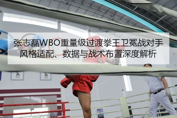 张志磊WBO重量级过渡拳王卫冕战对手风格适配、数据与战术布置深度解析