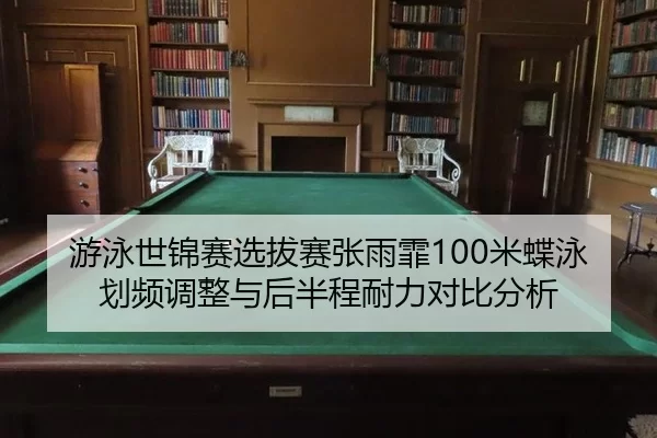 you-yong-shi-jin-sai-xuan-ba-sai-zhang-yu-fei-mi-die-yong-hua-pin-tiao-zheng-yu-hou-ban-cheng-nai-li-dui-bi-fen-xi-2-721.jpg