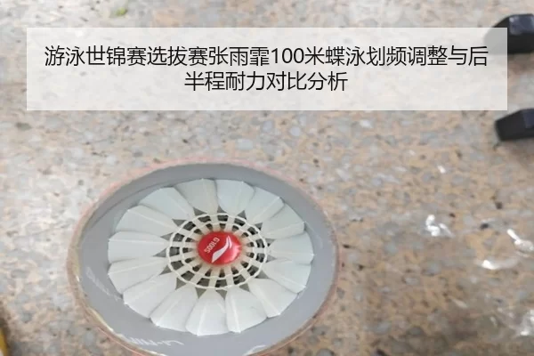 游泳世锦赛选拔赛张雨霏100米蝶泳划频调整与后半程耐力对比分析